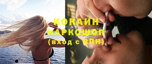 ГАЛЛЮЦИНОГЕННЫЕ ГРИБЫ Каменка