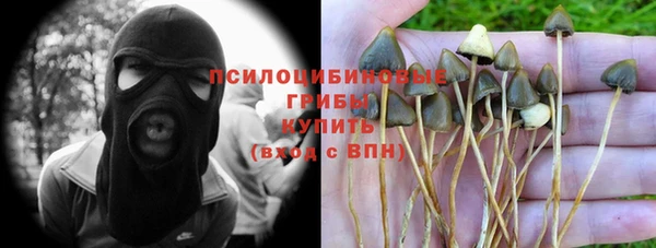 ГАЛЛЮЦИНОГЕННЫЕ ГРИБЫ Каменка