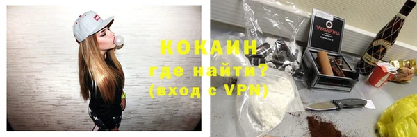 ГАЛЛЮЦИНОГЕННЫЕ ГРИБЫ Каменка