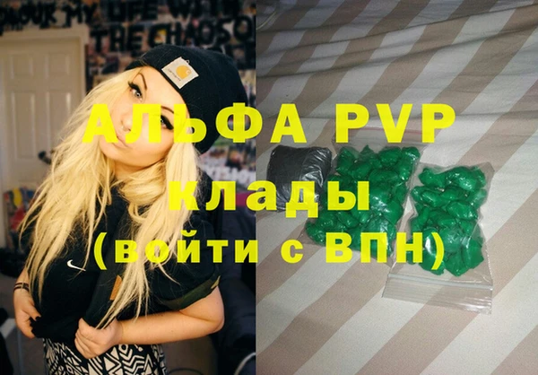 ГАЛЛЮЦИНОГЕННЫЕ ГРИБЫ Каменка