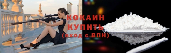 ГАЛЛЮЦИНОГЕННЫЕ ГРИБЫ Каменка