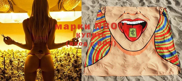 ГАЛЛЮЦИНОГЕННЫЕ ГРИБЫ Каменка
