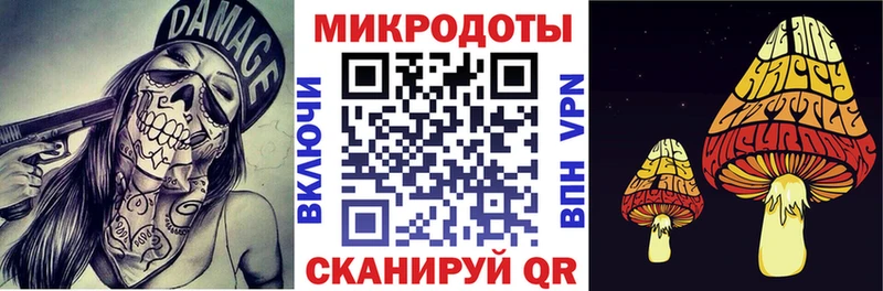 Галлюциногенные грибы GOLDEN TEACHER  цены наркотик  Вязьма 