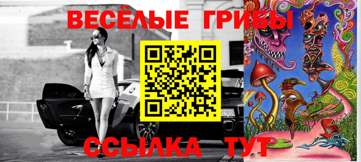 Вязьма  Галлюциногенные грибы прущие грибы  Псилоцибиновые грибы мицелий  Вход с VPN 