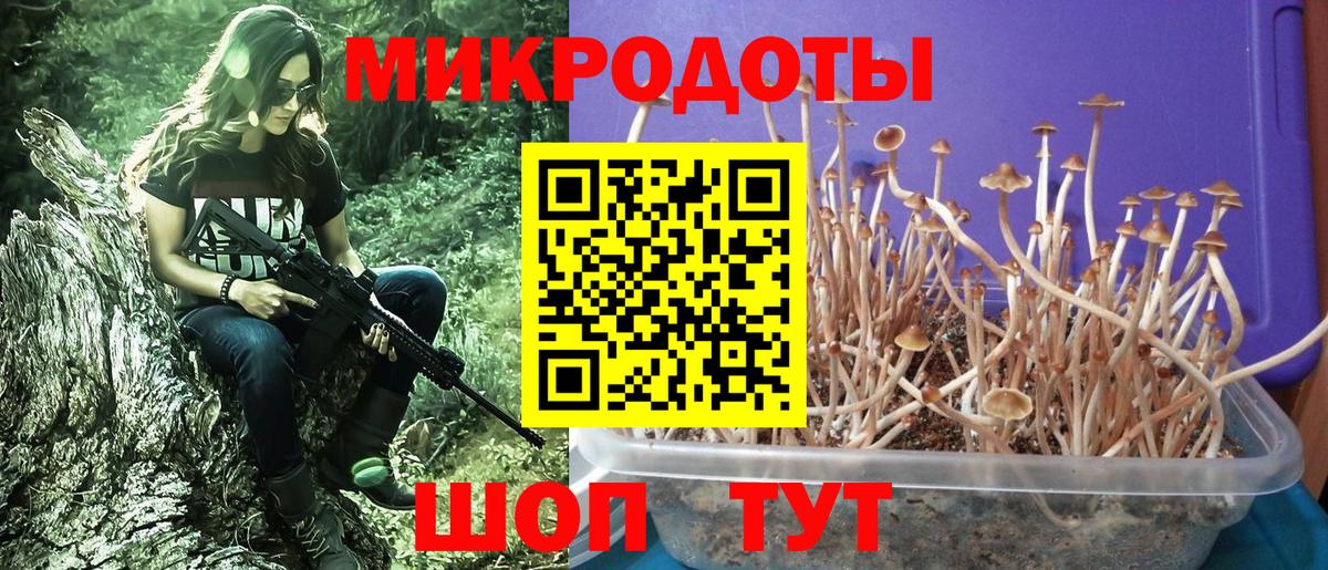 Галлюциногенные грибы GOLDEN TEACHER Вязьма