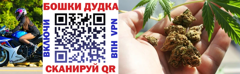 Канабис индика  хочу наркоту  Вязьма 